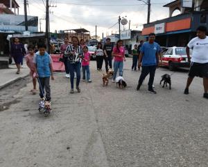 realizan-el-primer-desfile-y-pasarela-de-mascotas-en-moloacan-focus-0-0-300-240