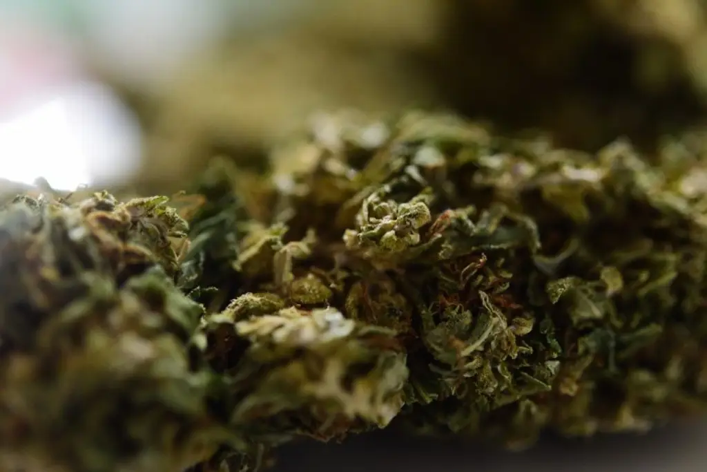 marihuana