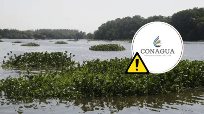 en_alerta_4_r-os_del_sur_de_veracruz_por_posible_aumento_de_nivel_-de_cu-les_se_trata_-2-.png_806745143